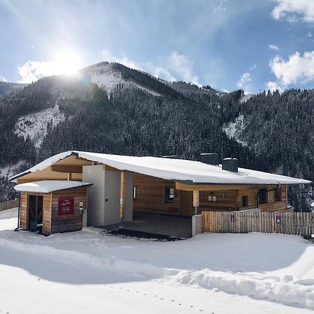 Alpenparks Chalet & Apartment Steve Lodge Viehhofen Dış mekan fotoğraf